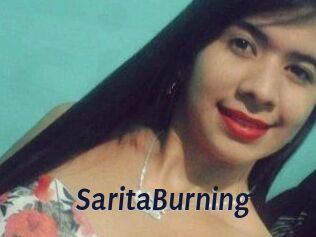 SaritaBurning