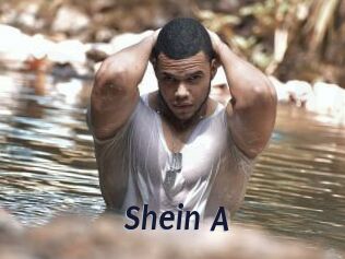 Shein_A