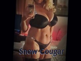 Snow_Cougar