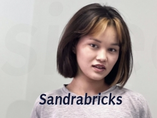 Sandrabricks