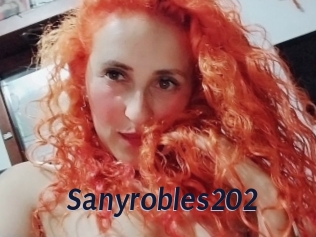 Sanyrobles202