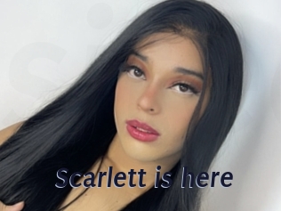 Scarlett_is_here