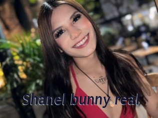 Shanel_bunny_real