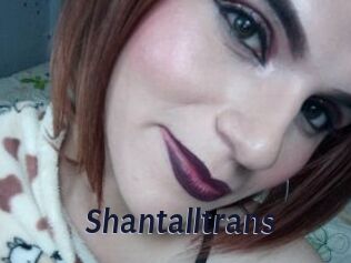 Shantalltrans