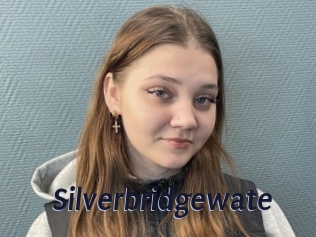 Silverbridgewate