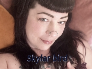 Skylar_bird