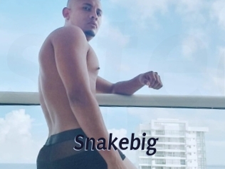 Snakebig