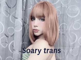 Soary_trans