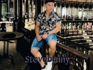 Stevebunny