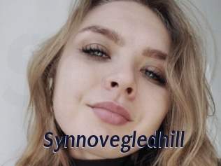 Synnovegledhill