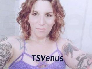 TS_Venus