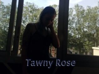 Tawny_Rose