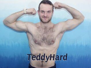 TeddyHard