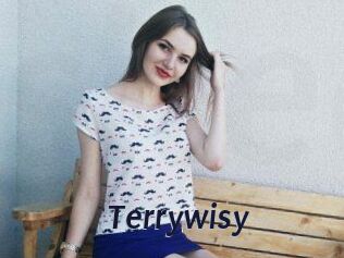 Terrywisy
