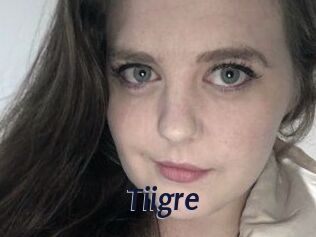 Tiigre_