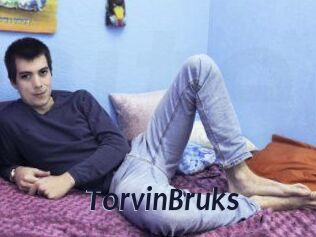 TorvinBruks