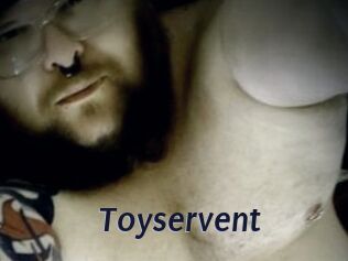 Toyservent
