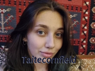 Taitecornfield