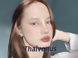 Thaivenus