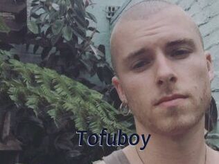 Tofu_boy