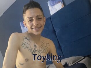 Toyking