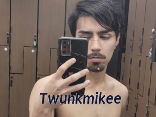 Twunkmikee