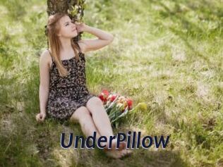 UnderPillow