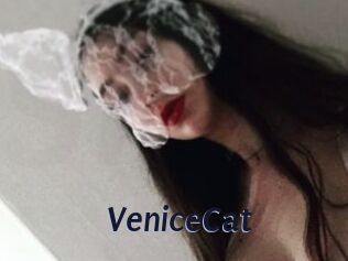 VeniceCat