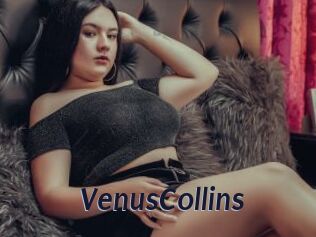 VenusCollins