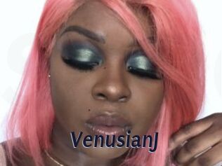 VenusianJ