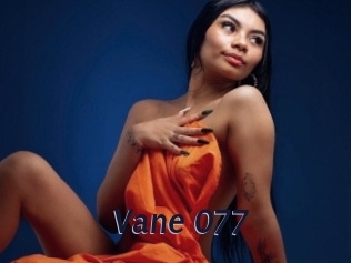 Vane_077