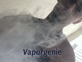 Vapor_genie