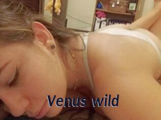 Venus_wild