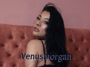 Venusmorgan