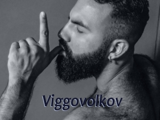 Viggovolkov