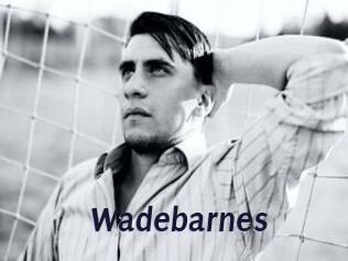 Wadebarnes