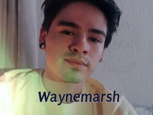 Waynemarsh