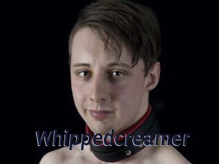 Whippedcreamer