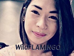 WildFLAMINGO
