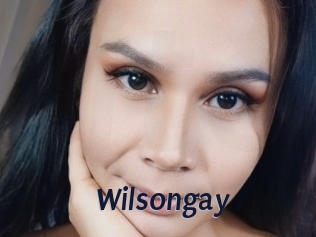 Wilsongay