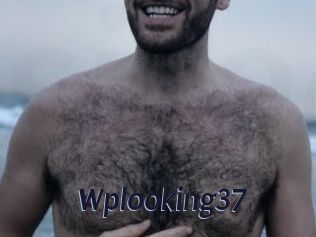 Wplooking37