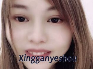 Xingganyeshou