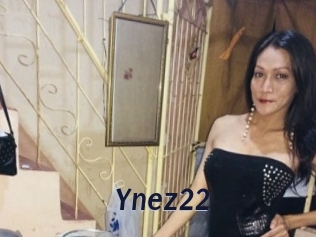 Ynez22