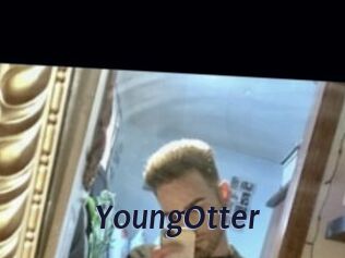 YoungOtter