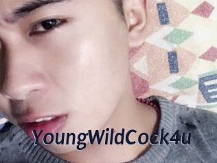 YoungWildCock4u